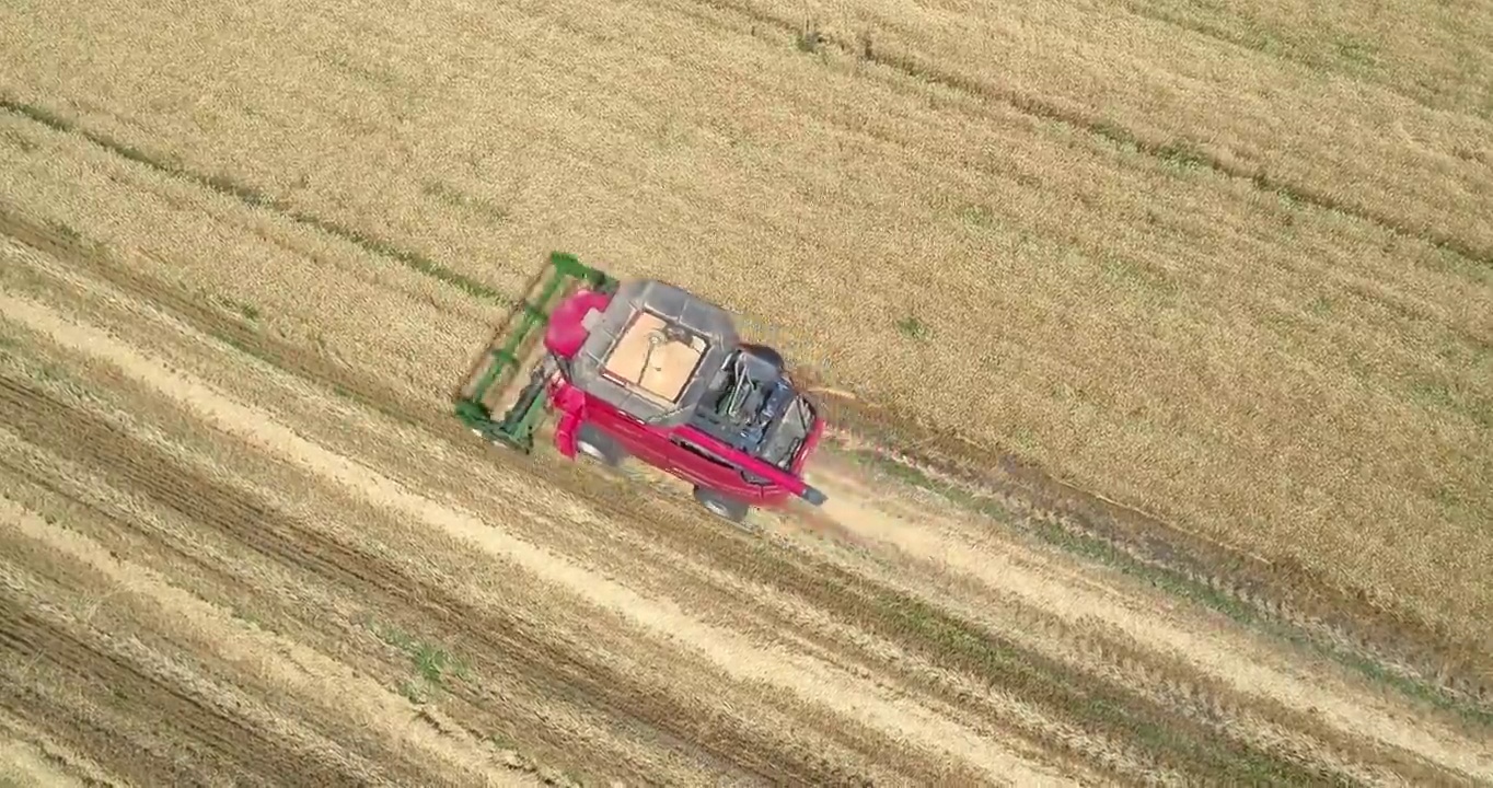 新疆天山脚下小麦丰收 收割机在田地里工作视频素材