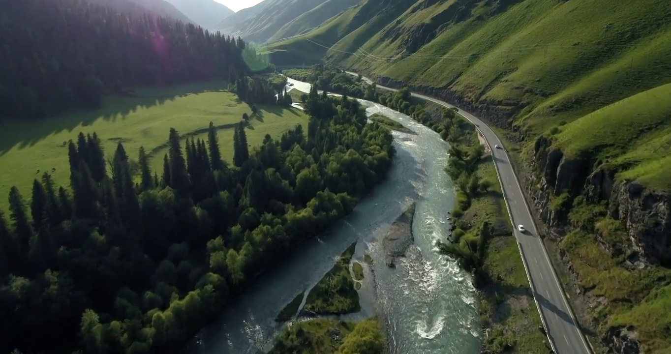 新疆独库公路的航拍片段松林边的公路沿着河流延伸视频素材
