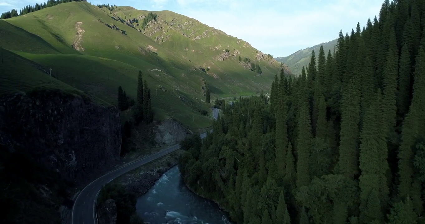 新疆独库公路的航拍片段松林边的公路沿着河流延伸视频素材