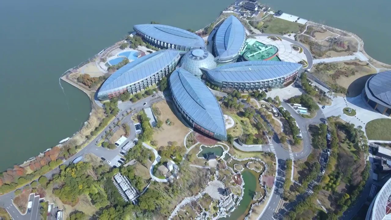 上海滴水湖桃花型的酒店视频素材