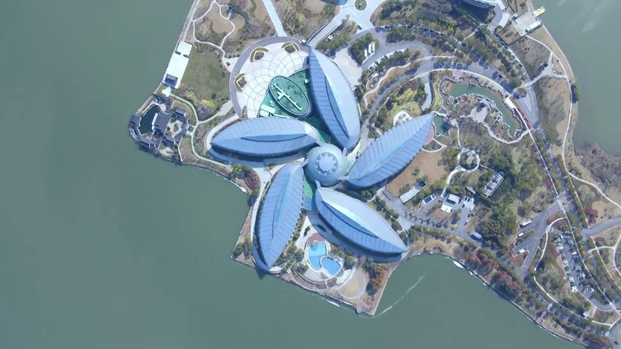 上海滴水湖桃花型的酒店视频素材