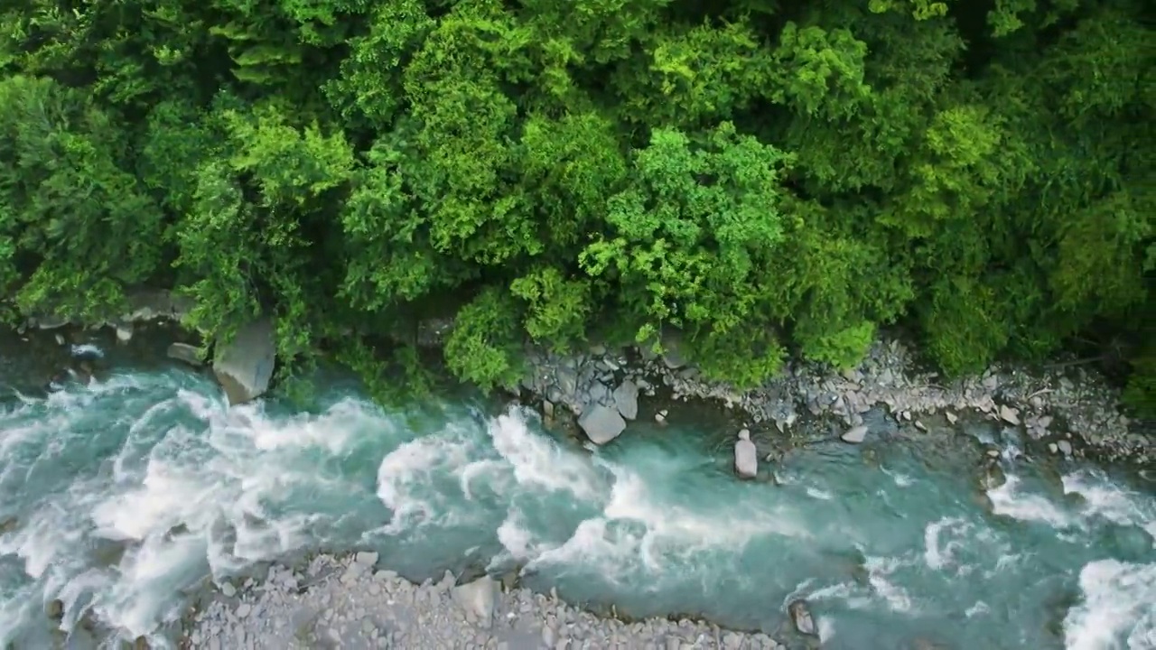 航拍绿色森林清澈溪流壮阔山河视频下载