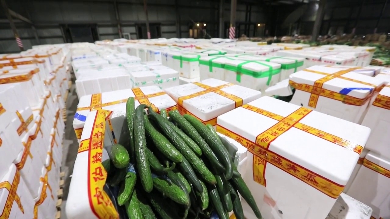 中国的抗疫物资蔬菜食品（选编）视频素材