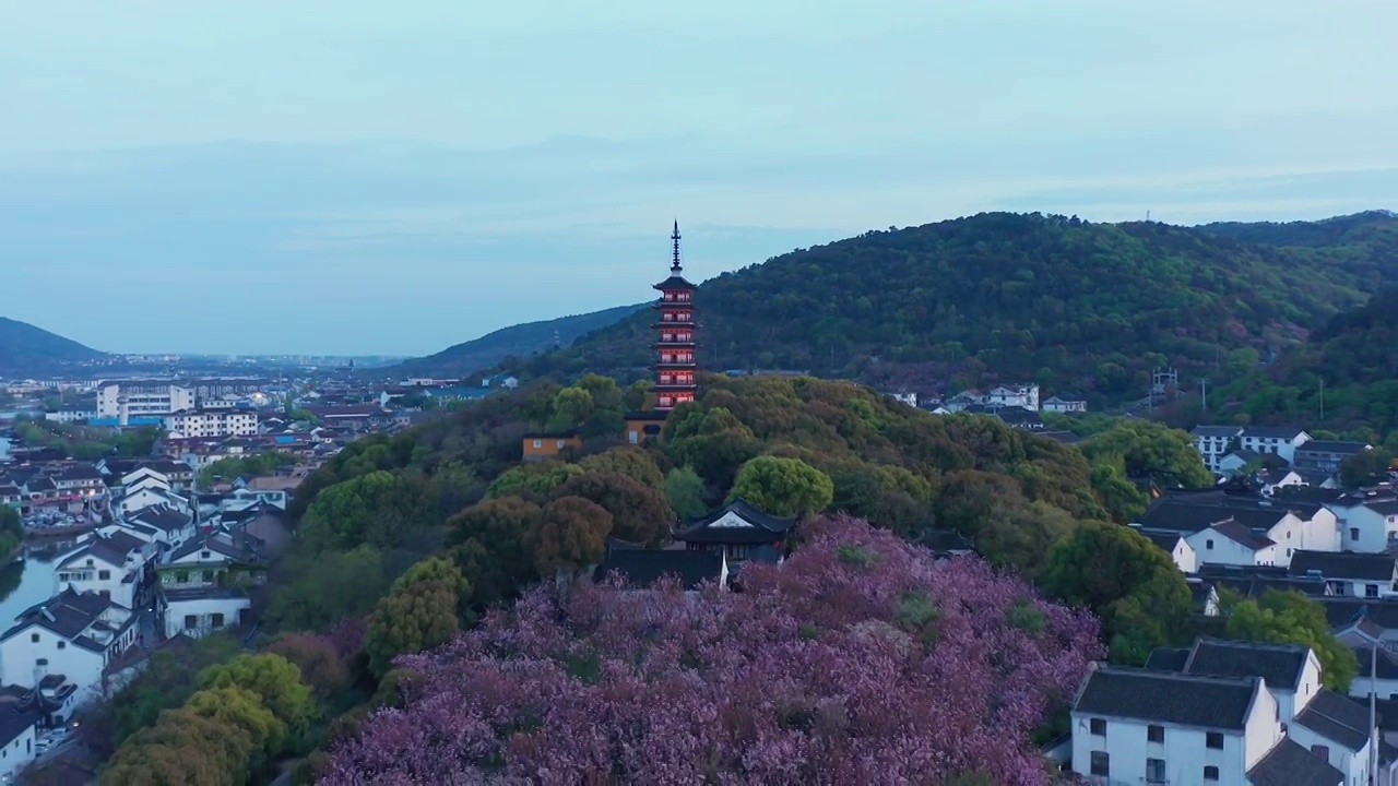 苏州光福铜观音寺的晚樱与日落视频素材