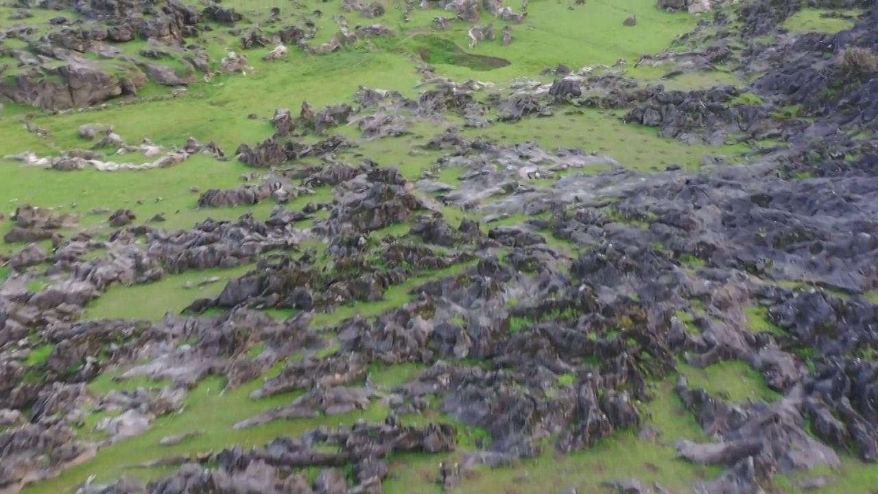 航拍贵州铜鼓荡喀斯特地貌石林山谷草坪视频素材