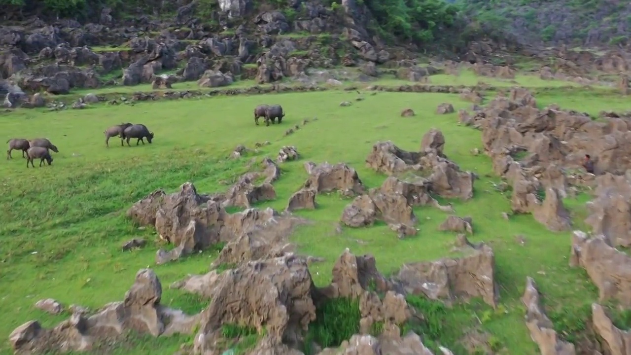 航拍贵州铜鼓荡喀斯特地貌石林山谷草坪视频素材