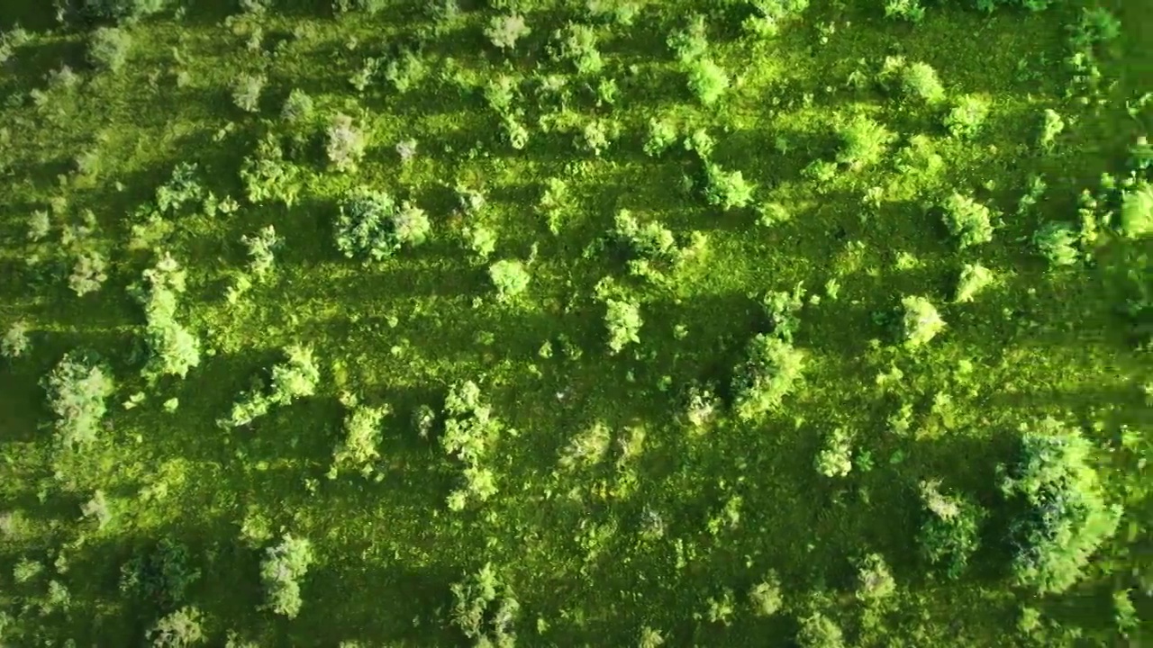 航拍四川阿坝州若尔盖大草原蓝天白云草原光影视频素材