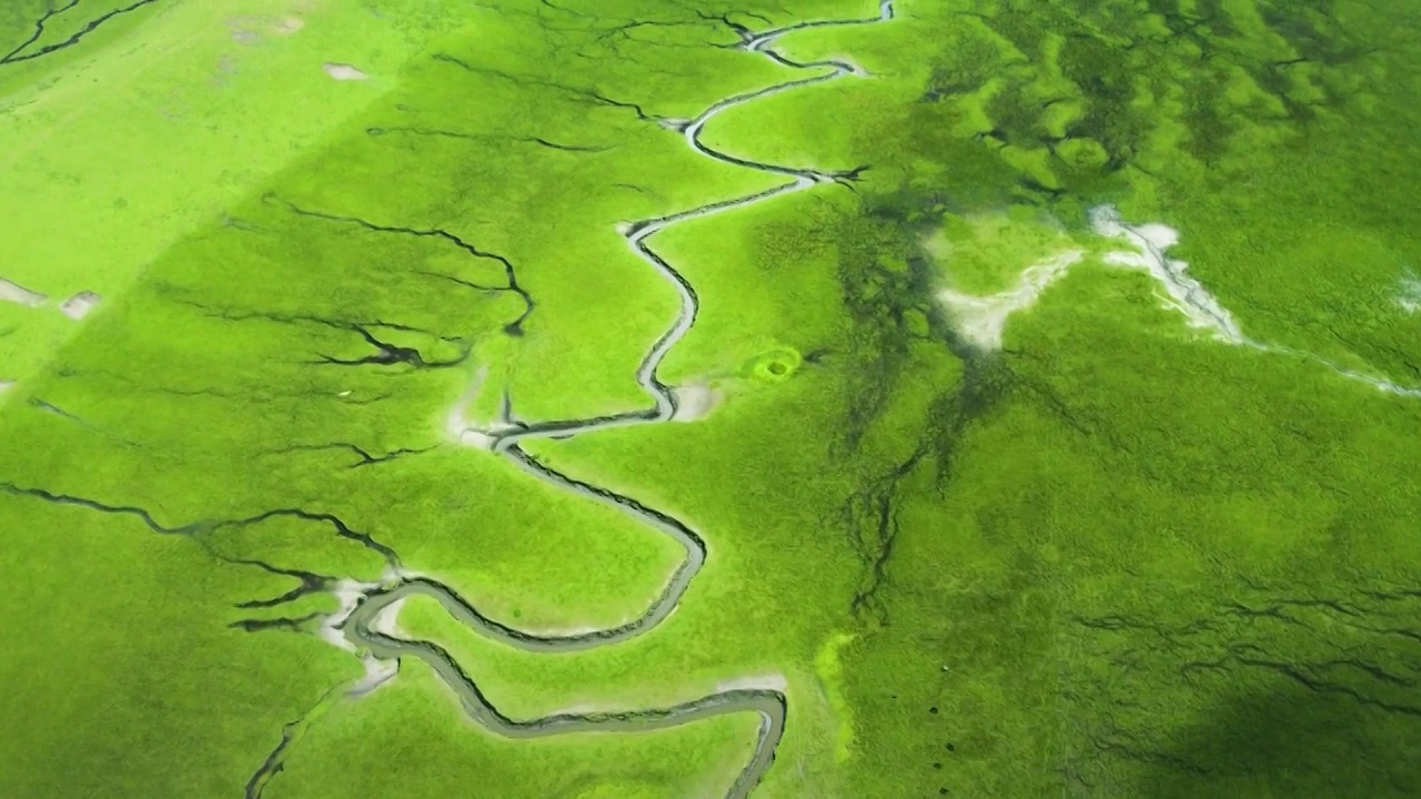 航拍大草原湿地河流纹理视频素材