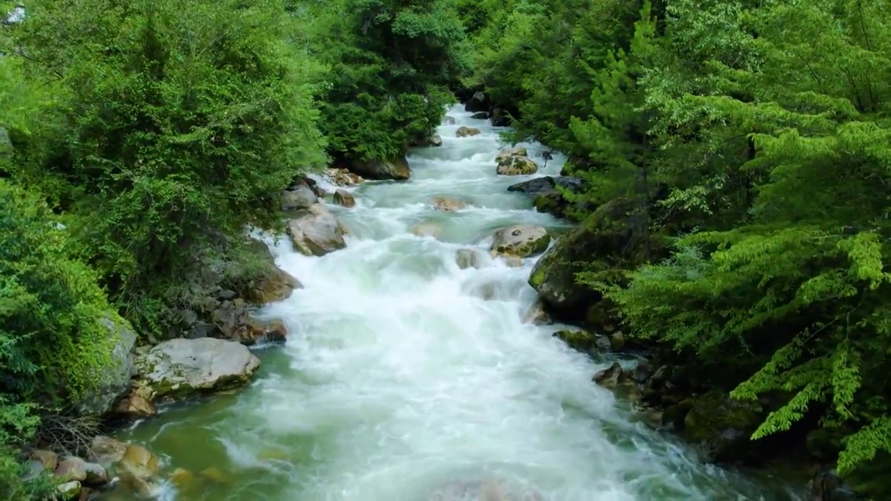 航拍绿色原始森林清澈河流湍急溪流航拍视频下载