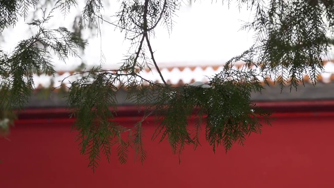红色宫墙雪景视频下载