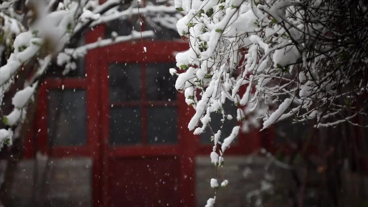 胡同雪景视频下载