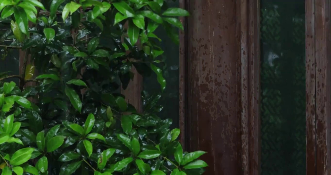 江南春天下雨园林漏窗空镜视频素材