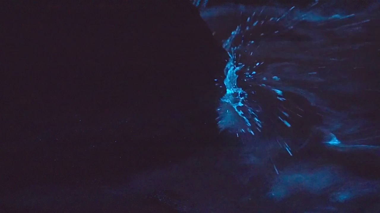 蓝眼泪海浪冲刷礁石慢镜头视频素材