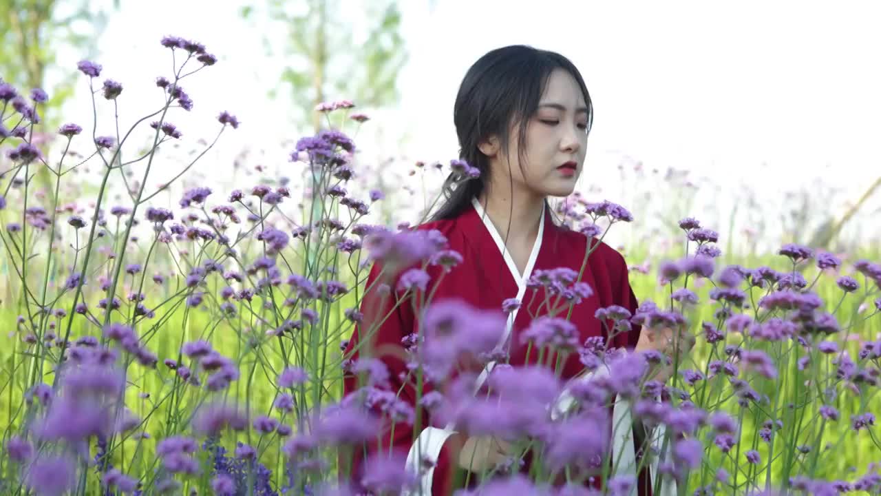 站在花丛里的中国汉服美女视频下载