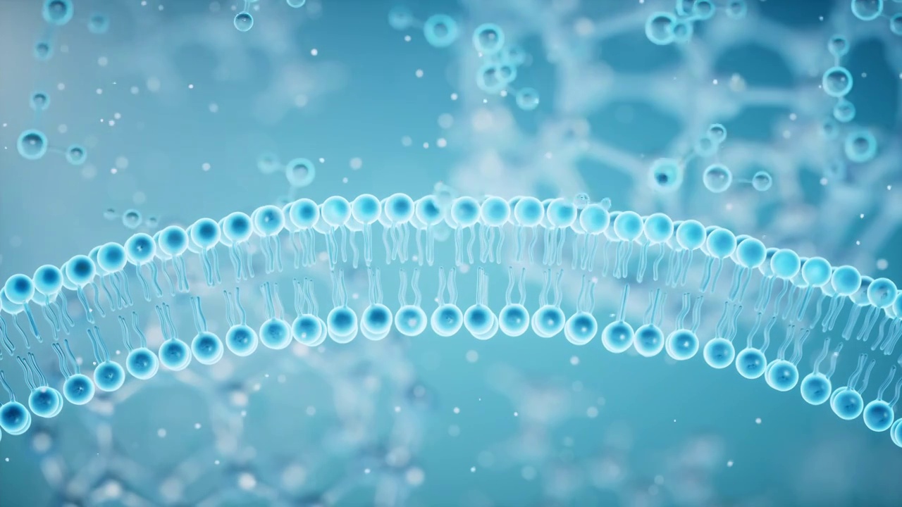 细胞膜与吸收的分子3D渲染视频素材