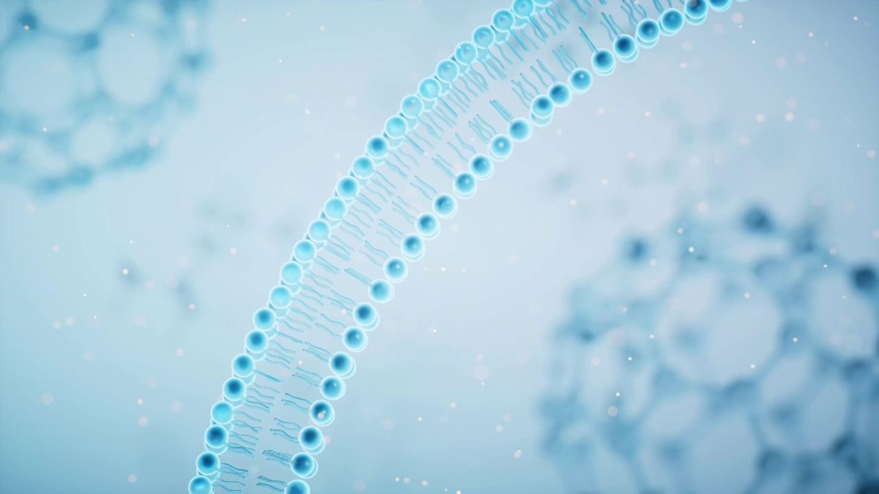 磷脂双分子细胞膜3D渲染视频素材