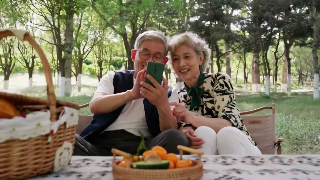 老年夫妇在露营地玩手机视频素材