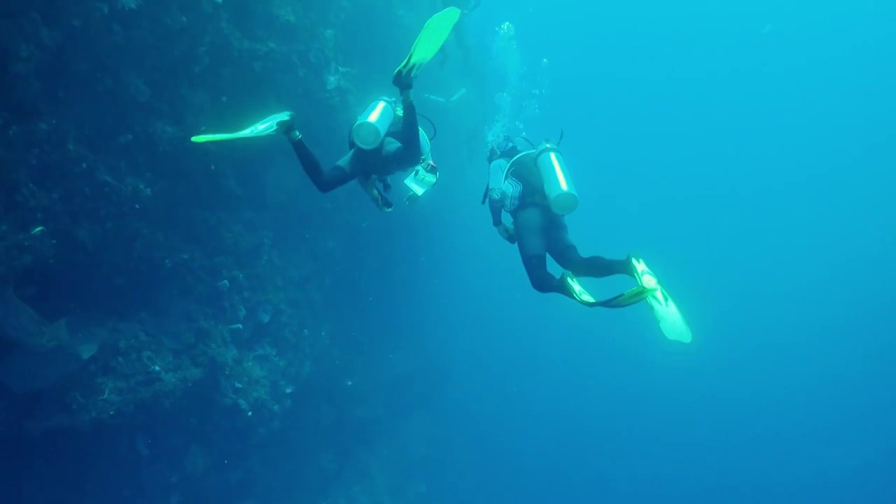 印尼美娜多海底世界视频下载