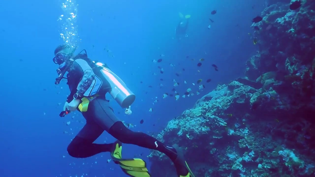 印尼美娜多海底世界视频下载