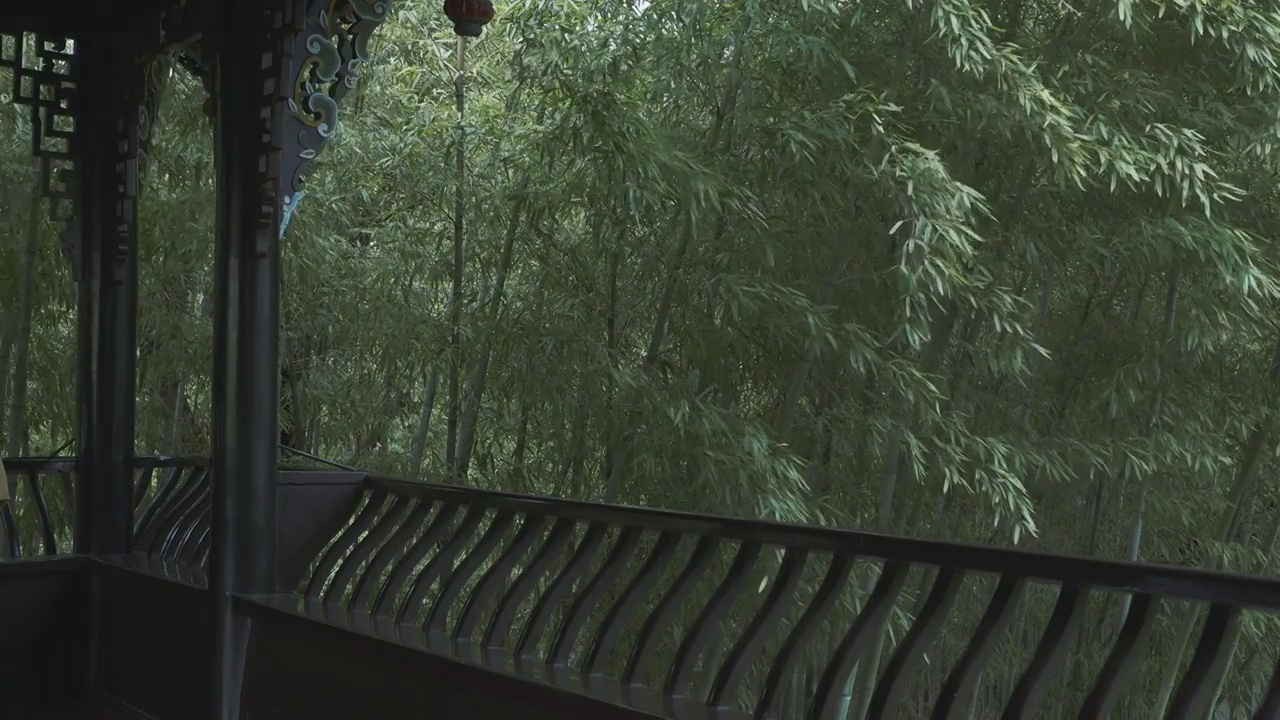 下雨天大风的竹林自然风光视频素材