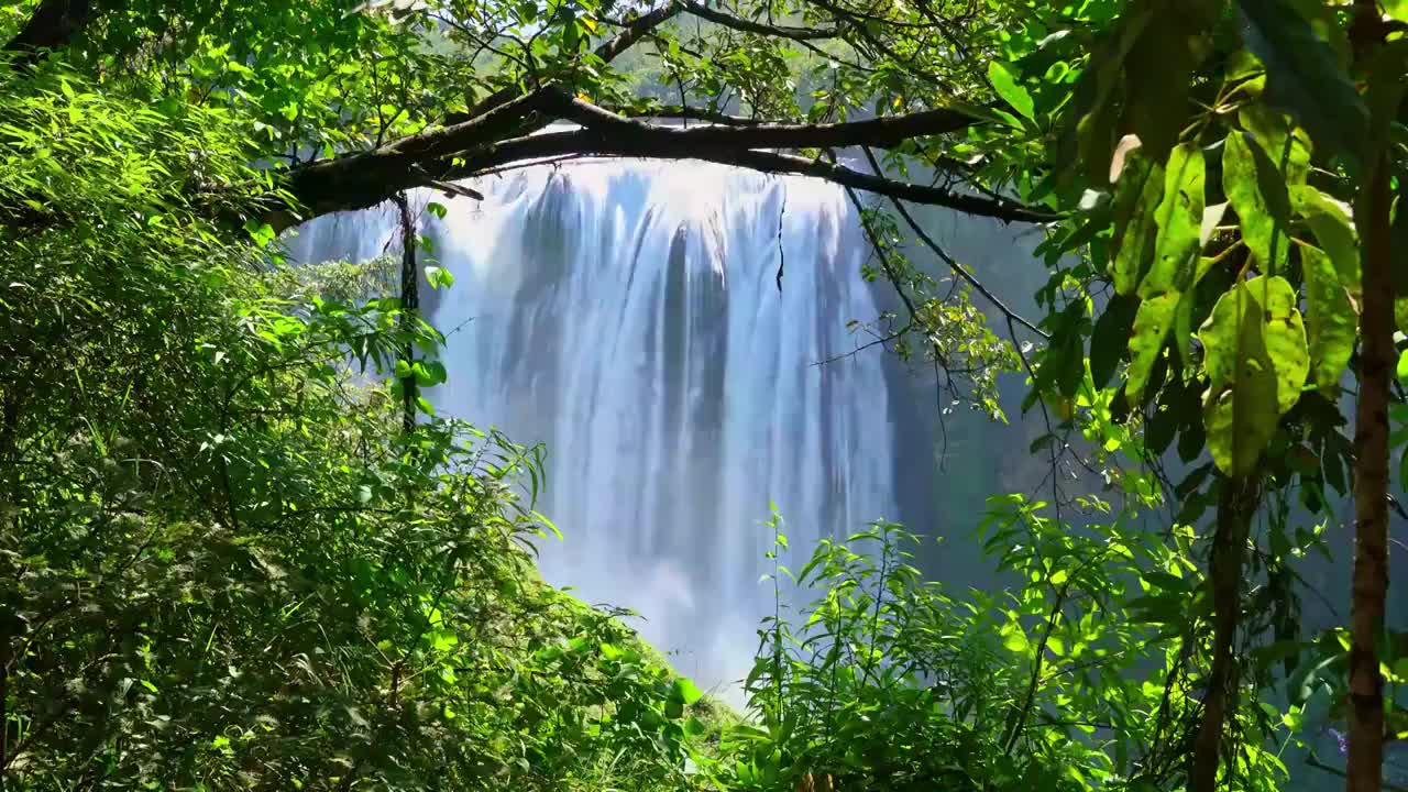 贵州黄果树瀑布视频下载