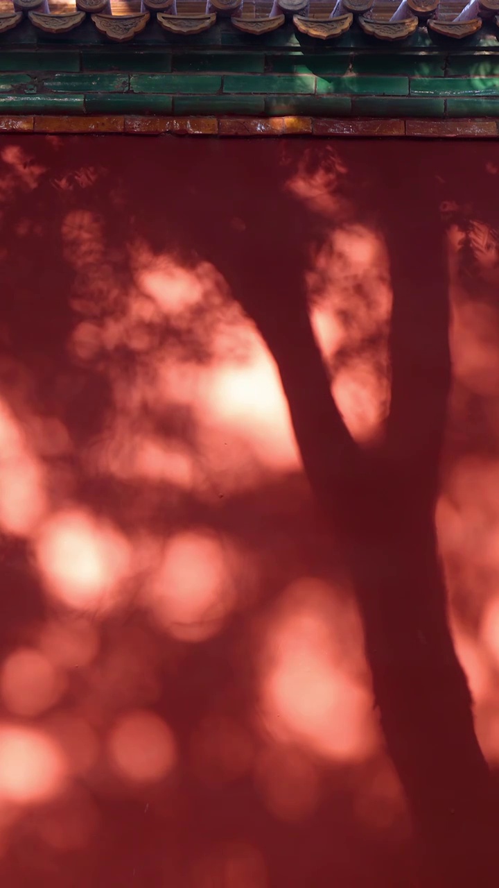 皇城琉璃红墙树影斑驳视频素材