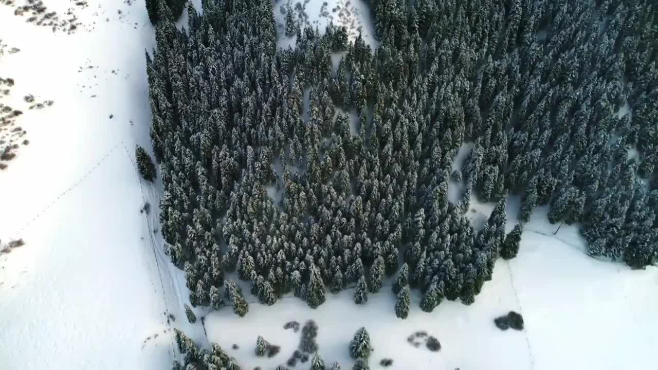 新疆南山冬季视频素材