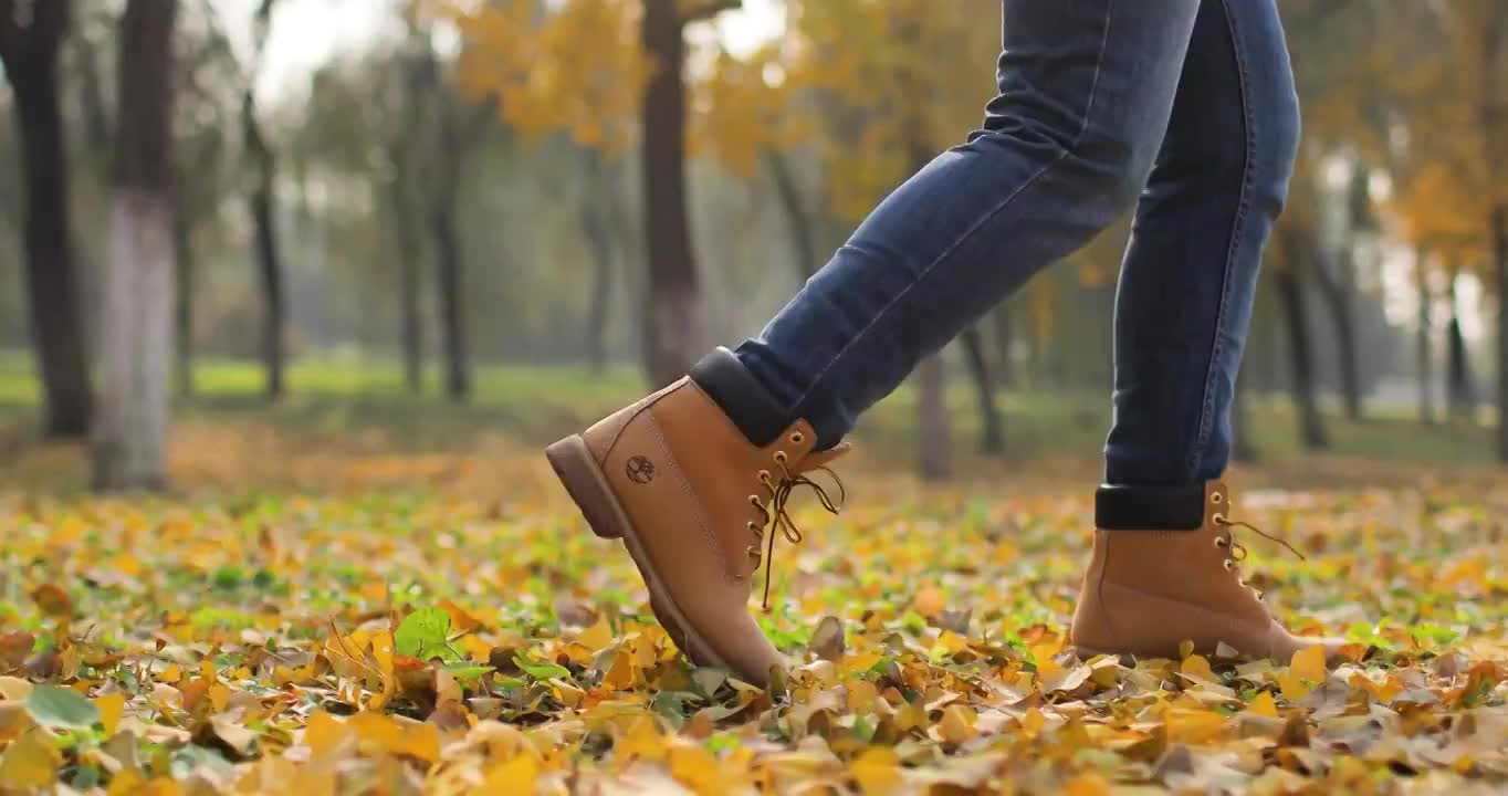 女性在唯美的秋天树林中视频下载