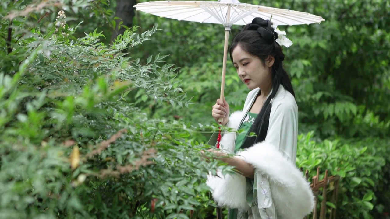 一个中国汉服美女打着伞在户外视频下载