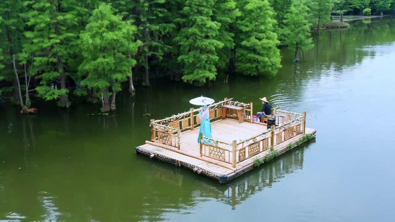 常熟尚湖风景区的夏天风景视频素材