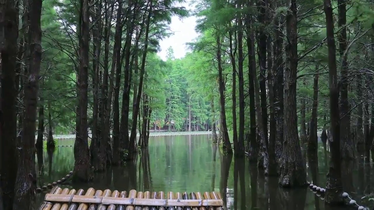 常熟尚湖风景区的夏天风景视频素材