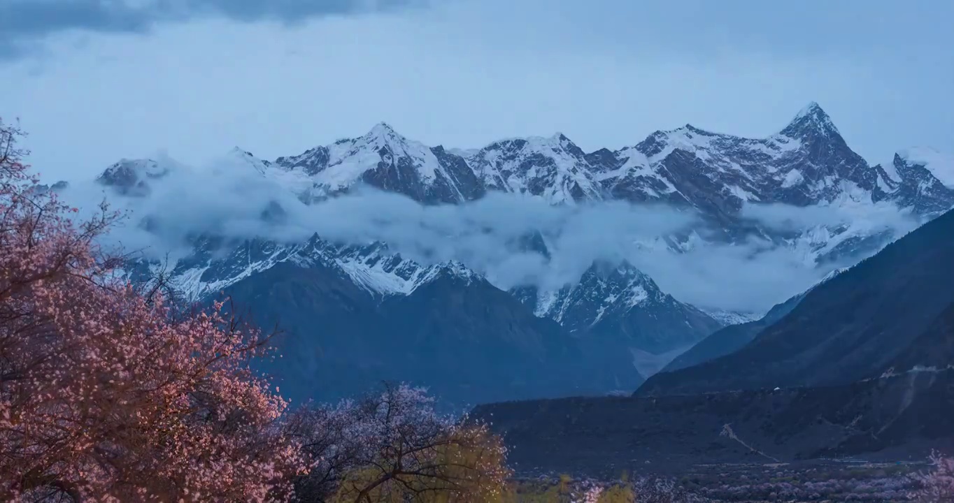 中国西藏自治区林芝市 林芝桃花 南迦巴瓦峰自然景观视频素材