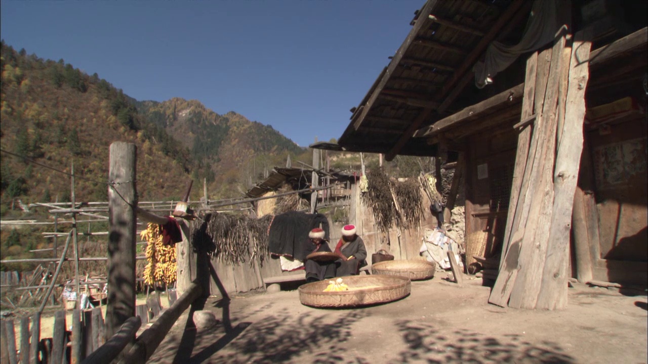 四川九寨沟屋外掰玉米棒的藏民固定机位视频下载