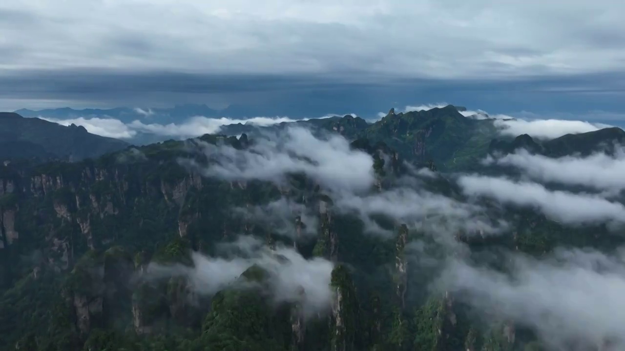 张家港界国家森林公园视频素材