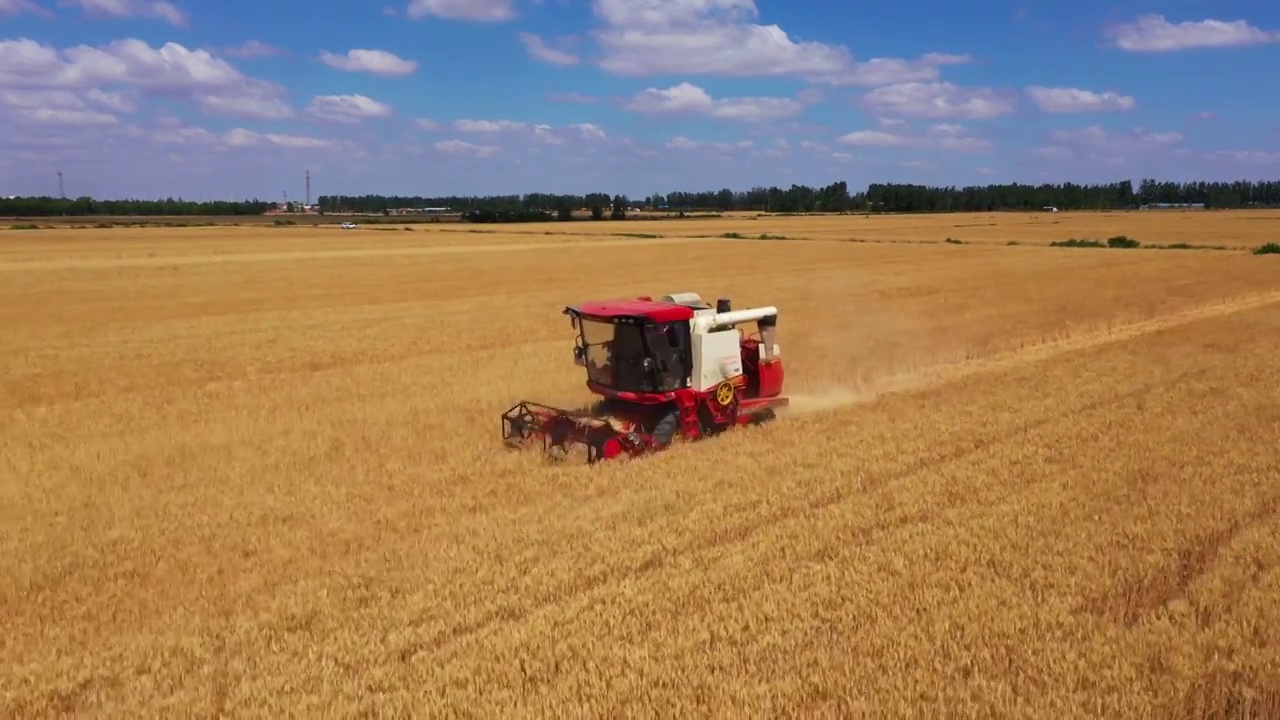 小麦收割机视频素材
