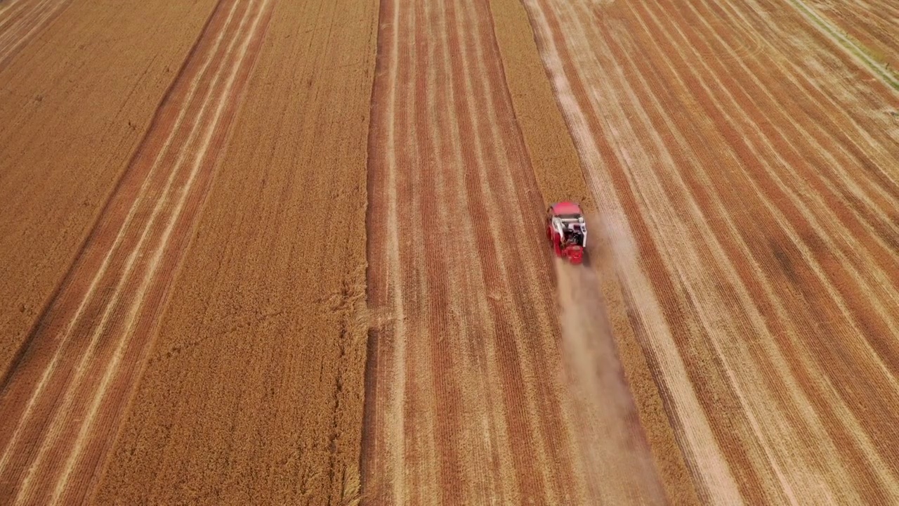收割-小麦-田园-成熟-农田-丰收视频素材