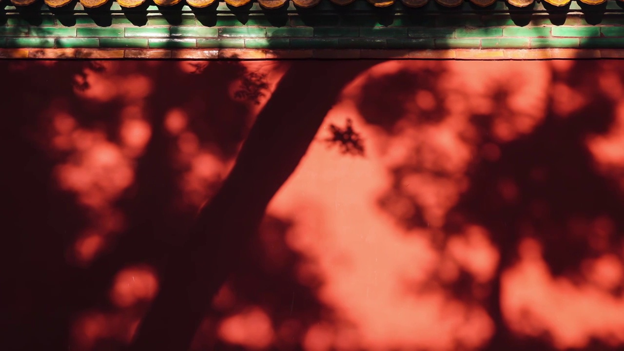 东方元素-红墙与树影摇曳视频下载