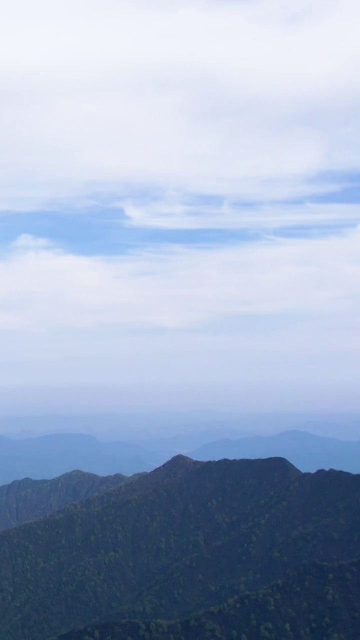 竖屏航拍贵州百里杜鹃普底景区云雾缭绕视频素材