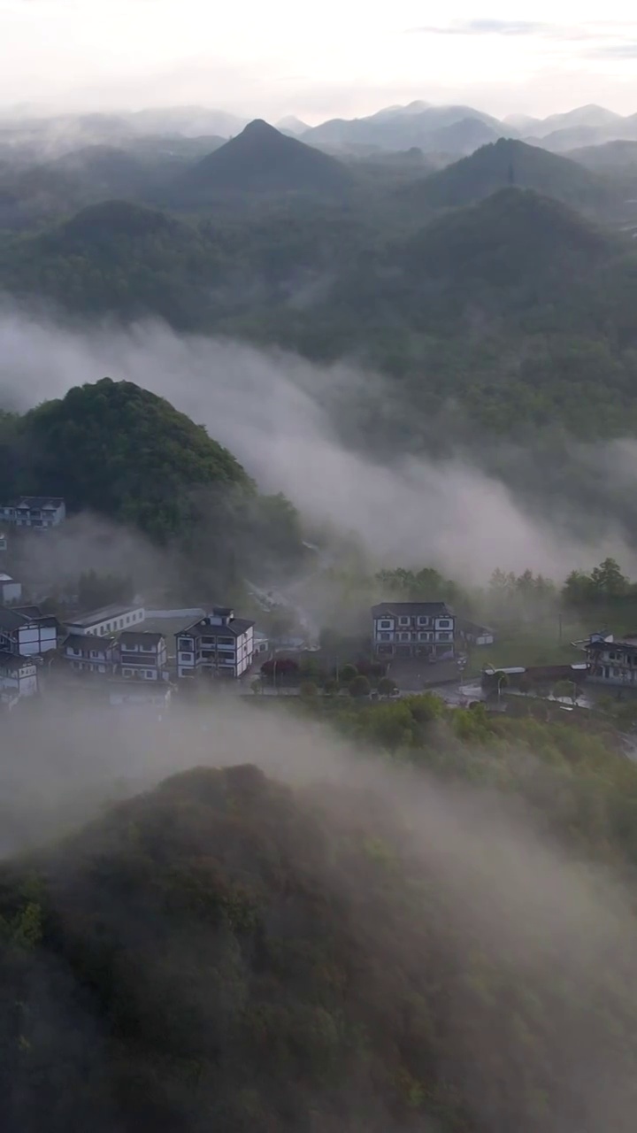 竖屏航拍贵州百里杜鹃普底景区云雾缭绕（选编）视频素材