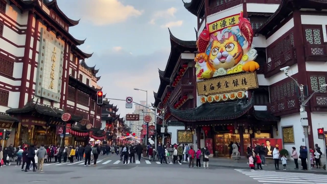 上海豫园春节街道人流视频素材