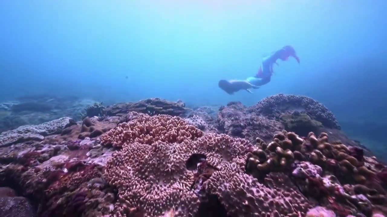 美人鱼自由潜水视频素材
