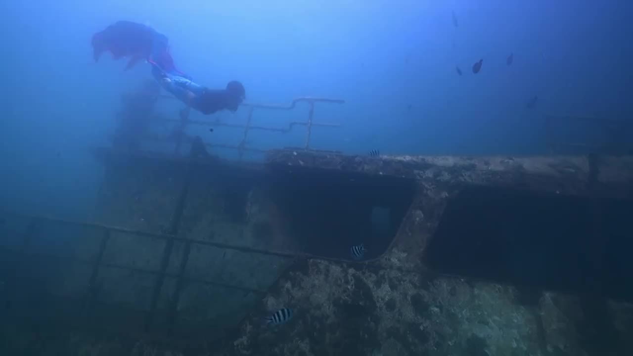 美人鱼自由潜水视频素材