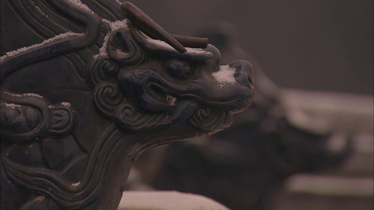 北京天坛圜丘坛雪景脊兽固定机位视频素材