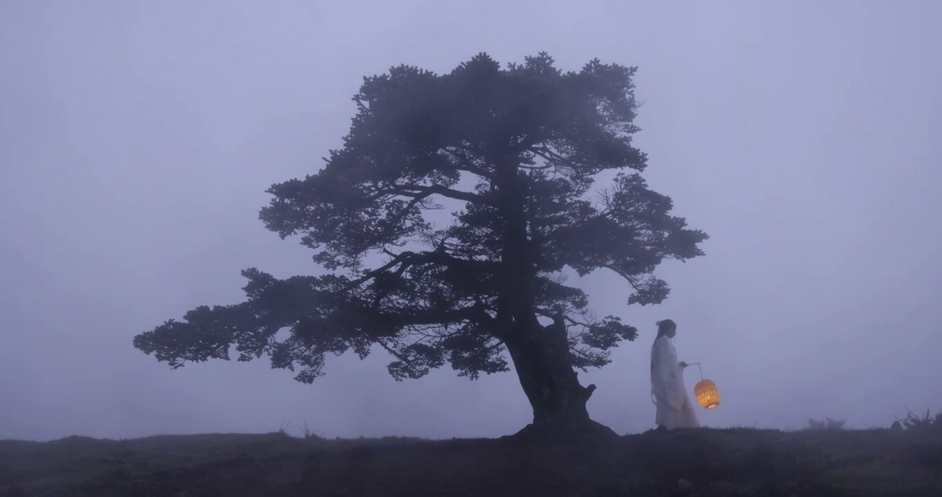 升格高速镜头：汉服美女提着灯笼从大树下走过视频下载