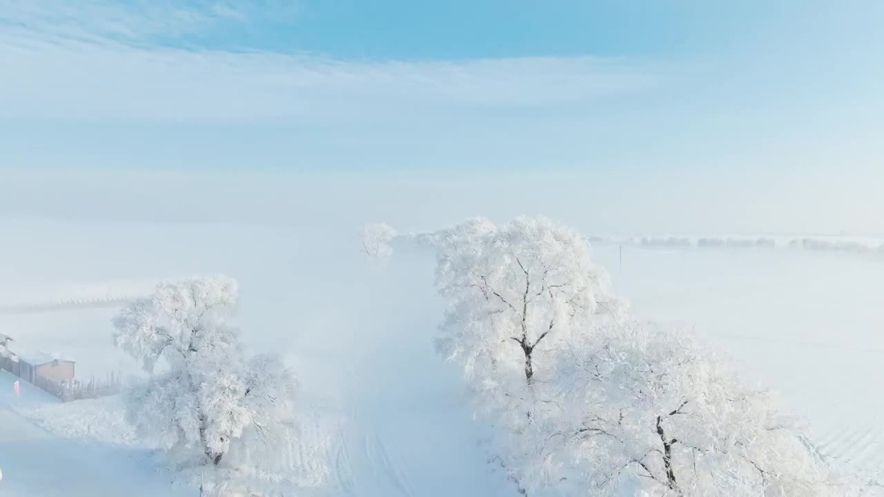 吉林雾凇航拍视频下载