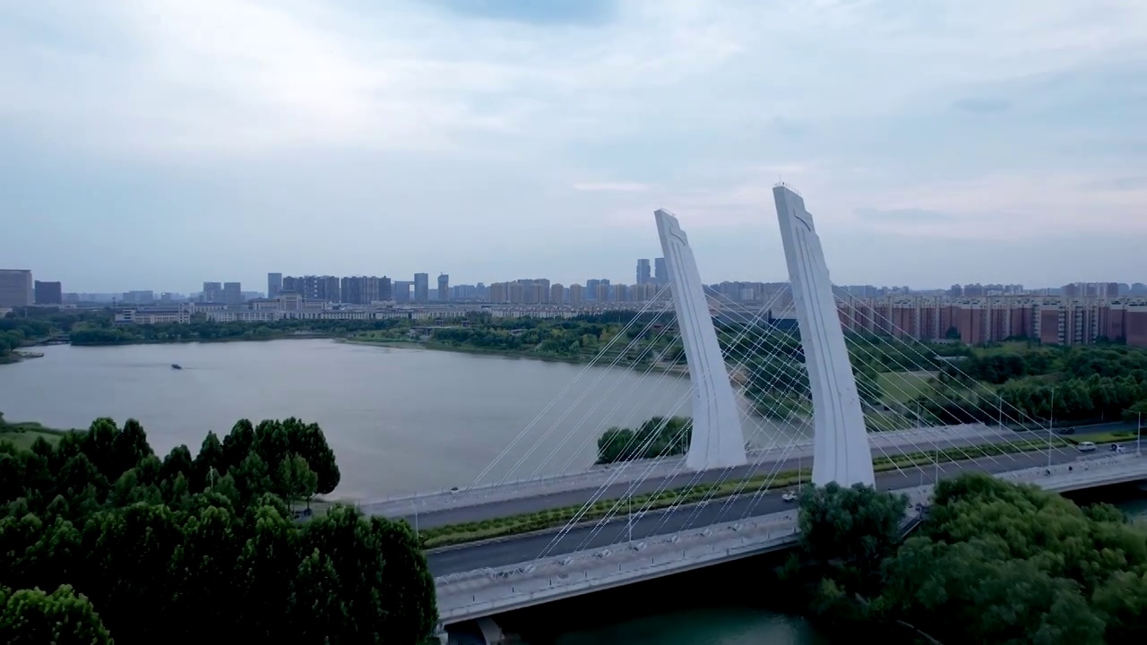 高视角航拍中国河南郑州龙子湖斜拉桥视频素材