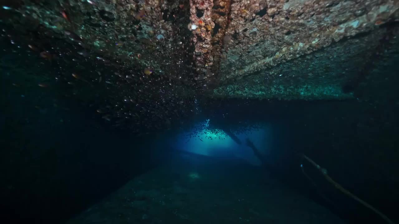 水下摄影中国南海海底遗迹沉船人工鱼礁视频素材