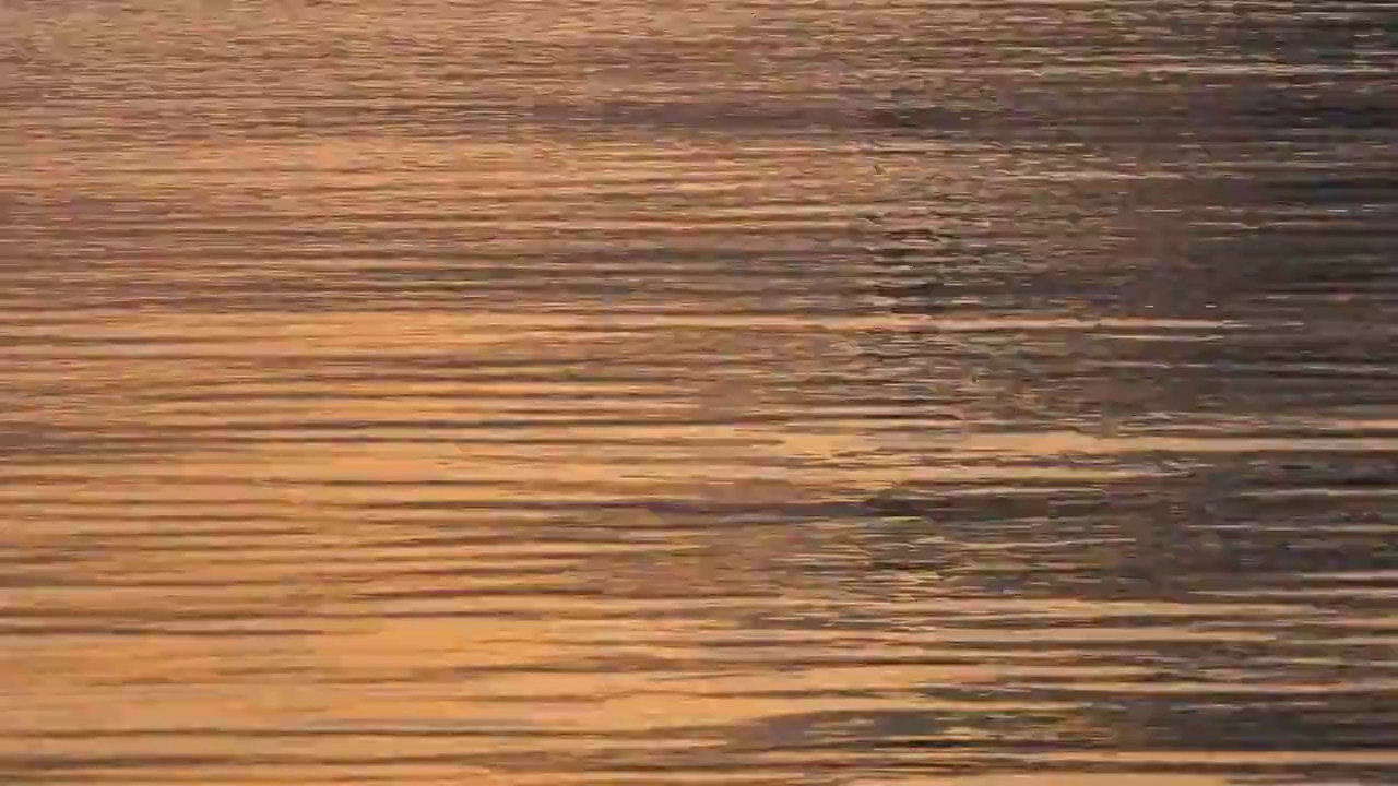 苏州园区宁静的日落时分视频素材