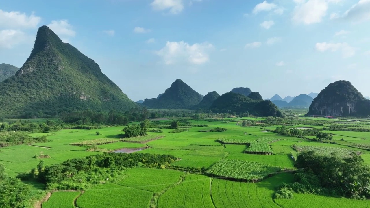 蓝天白云下山谷中绿色的稻田视频素材