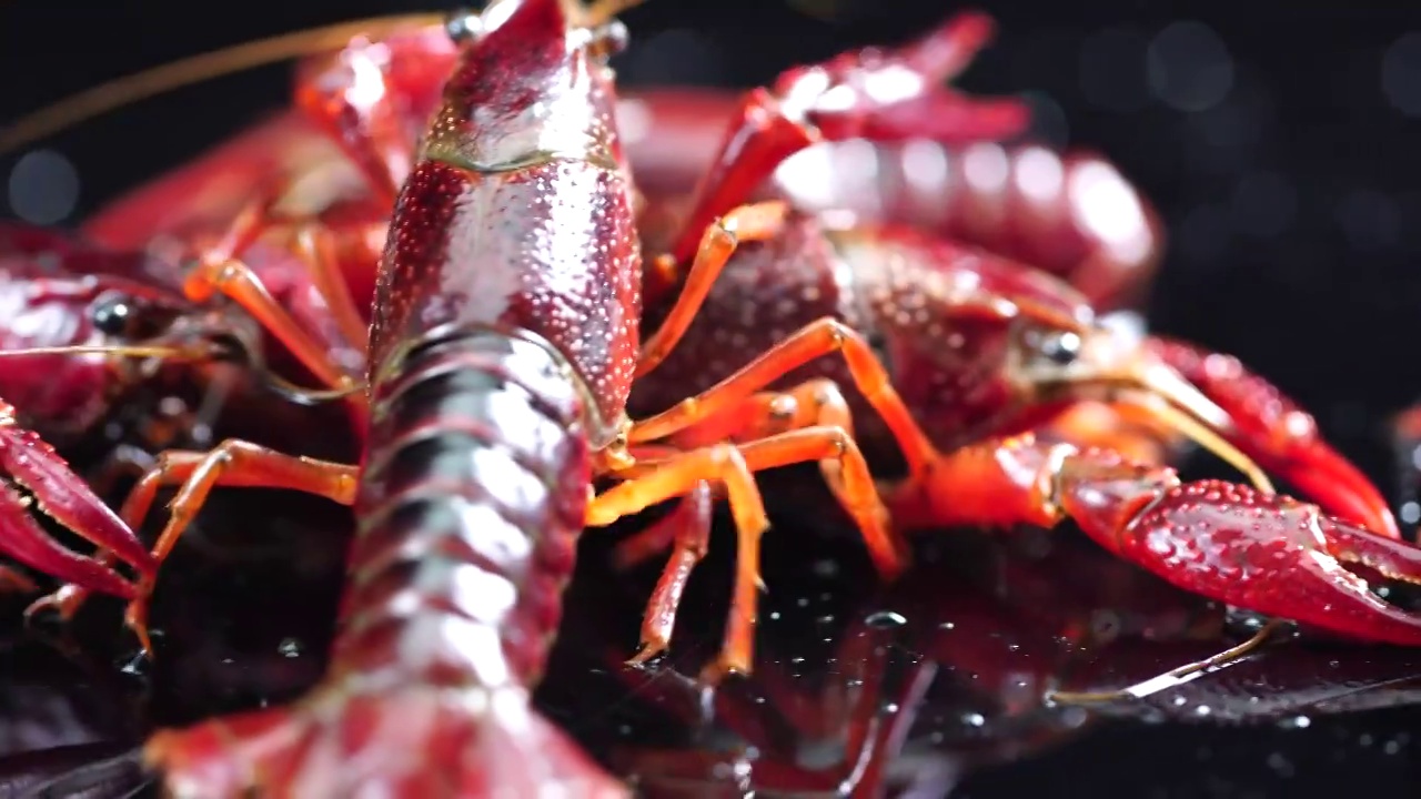 生鲜食材活小龙虾泼水慢镜头视频素材